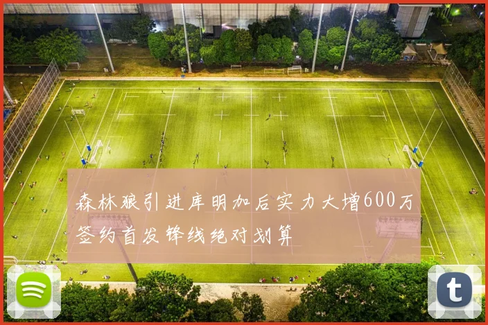 森林狼引进库明加后实力大增600万签约首发锋线绝对划算